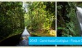 webdoors-caminhada-ecologica-2